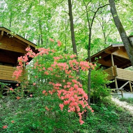 Pica Chichibu Otel Dış mekan fotoğraf